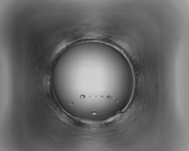 X0000111351355200907101201