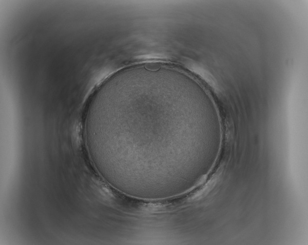 X0000111351357200907101201