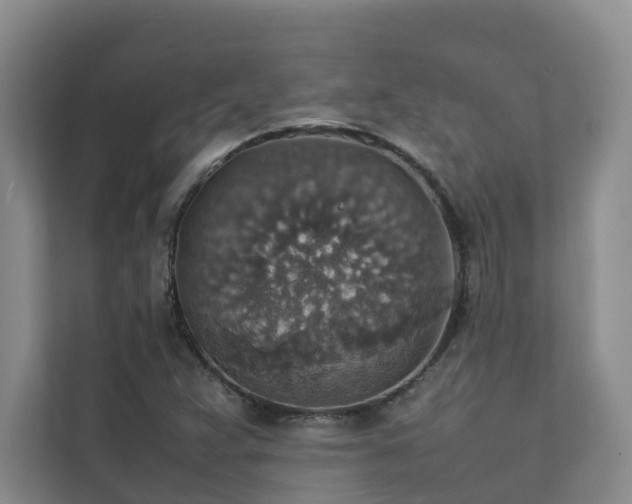 X0000111351359200907101201