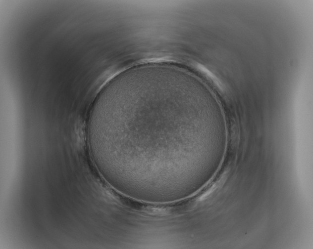 X0000111351361200907101201