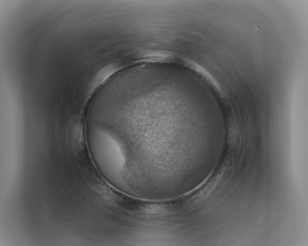 X0000111351362200907101201