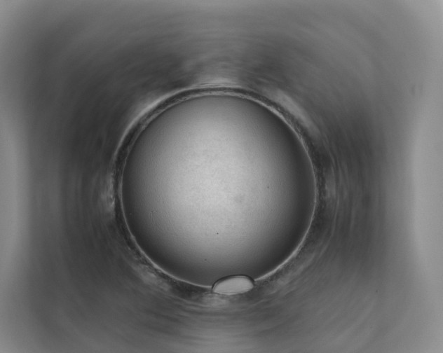 X0000111351364200907101201