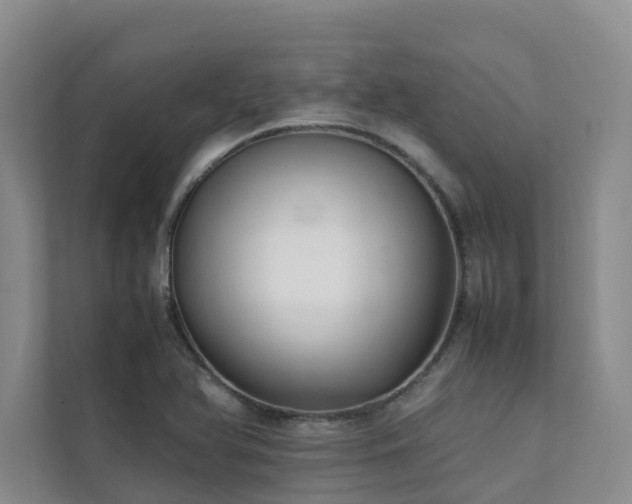 X0000111351366200907101201