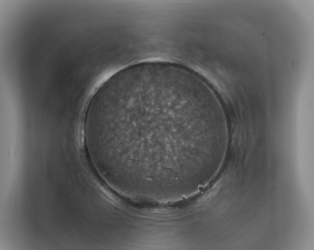 X0000111351367200907101201