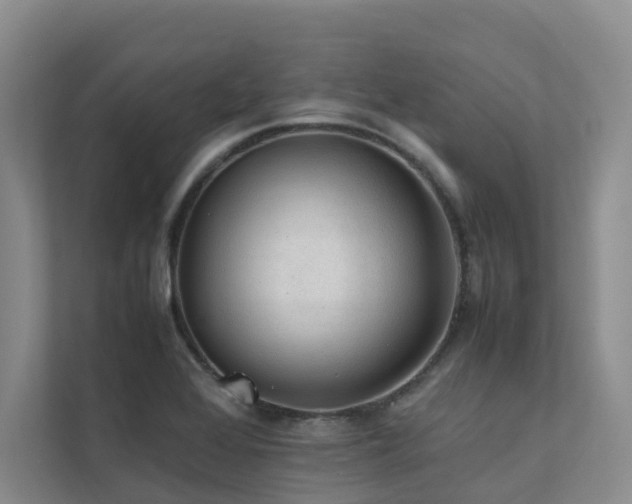 X0000111351368200907101201