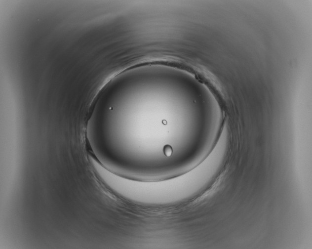 X0000111351369200907101201