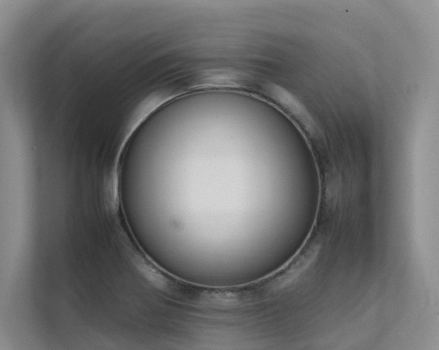 X0000111351370200907101201