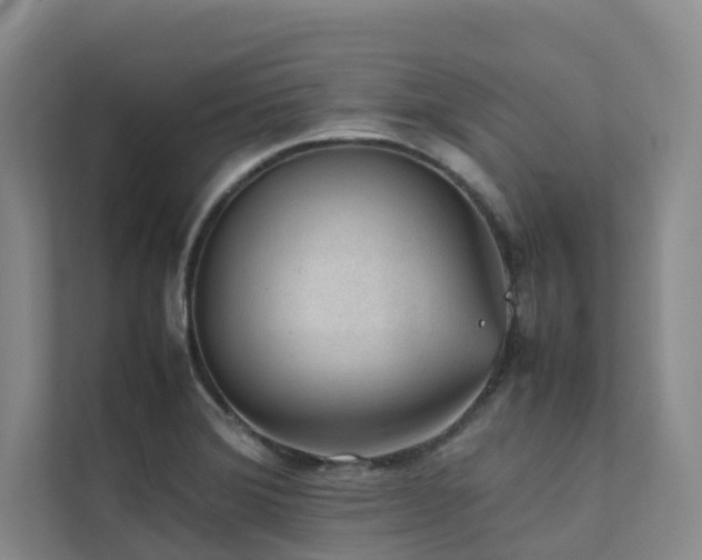 X0000111351372200907101201