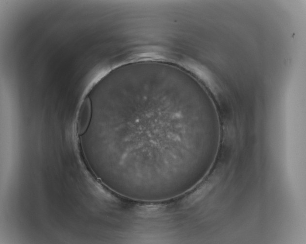 X0000111351373200907101201