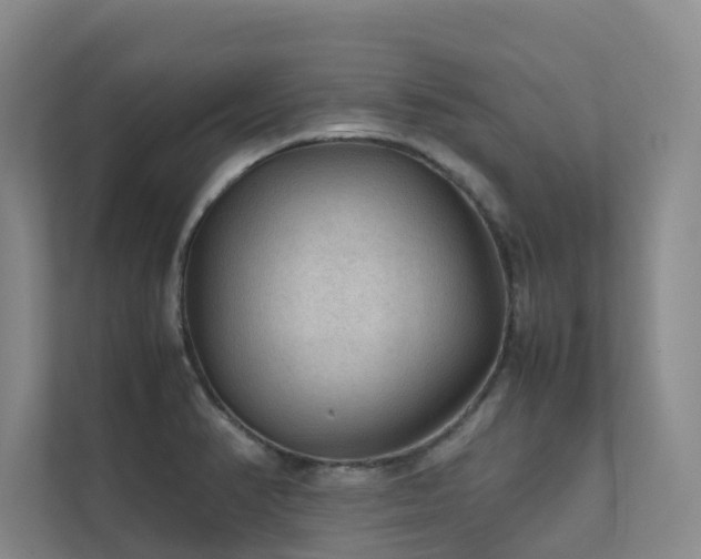 X0000111351374200907101201