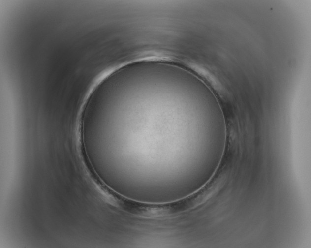 X0000111351375200907101201