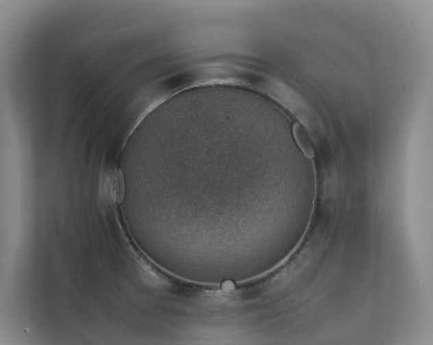 X0000111351377200907101201