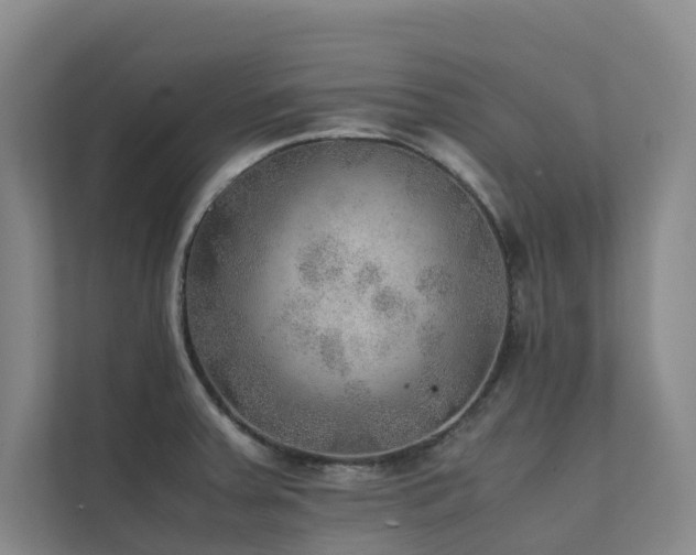 X0000111351379200907101201