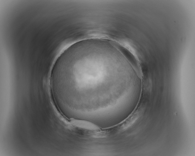 X0000111351381200907101201