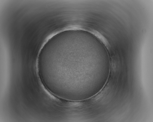 X0000111351382200907101201