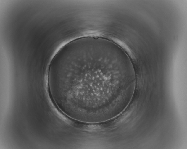 X0000111351383200907101201