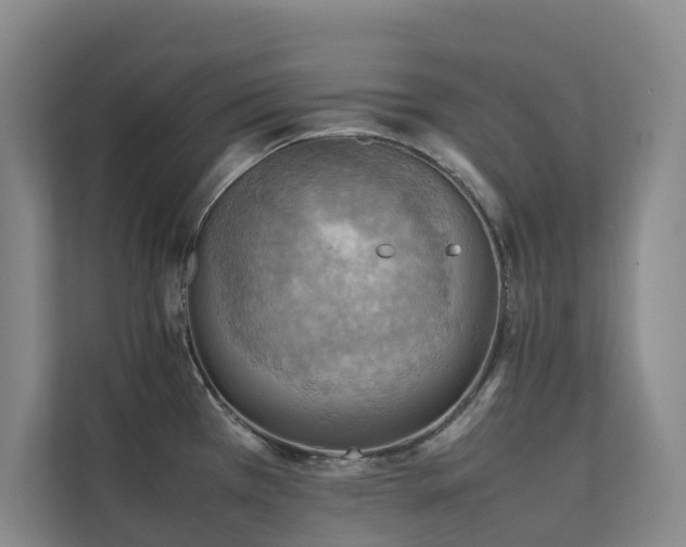 X0000111351385200907101201