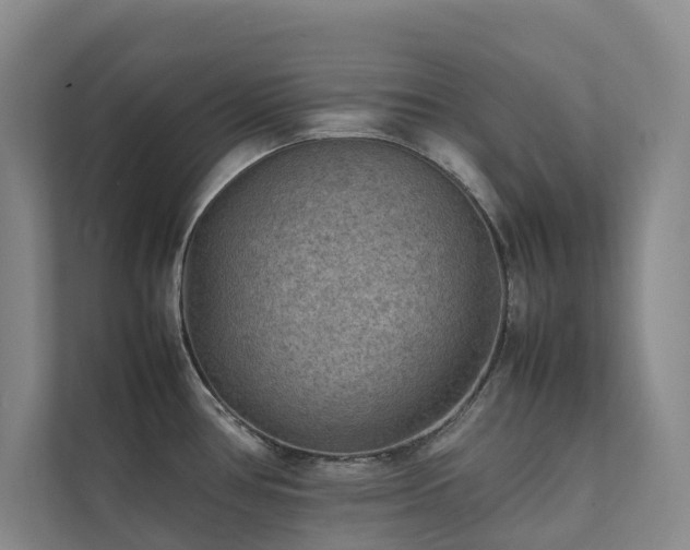 X0000111351386200907101201