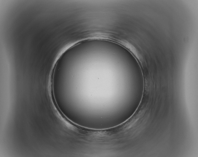 X0000111351387200907101201
