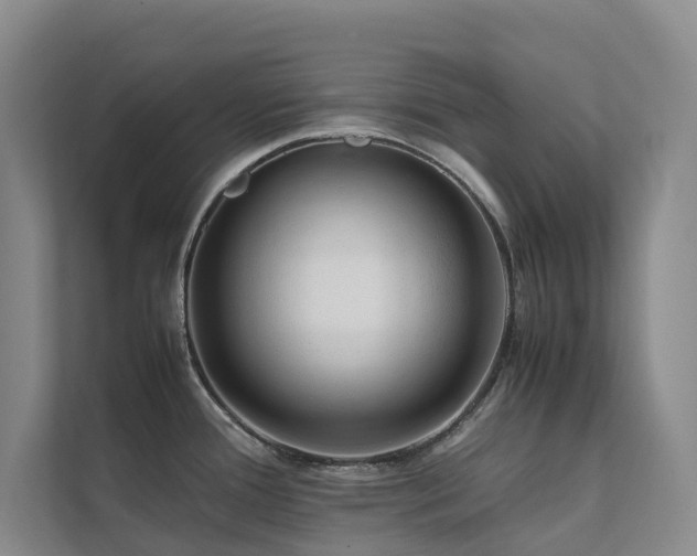 X0000111351388200907101201