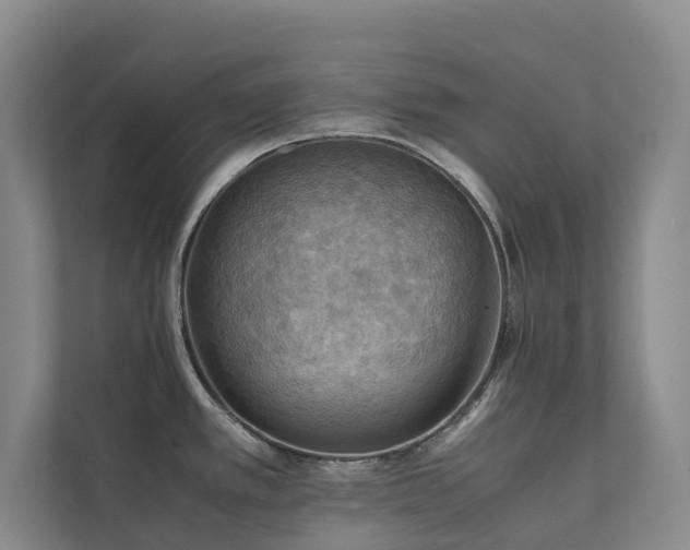 X0000111351389200907101200