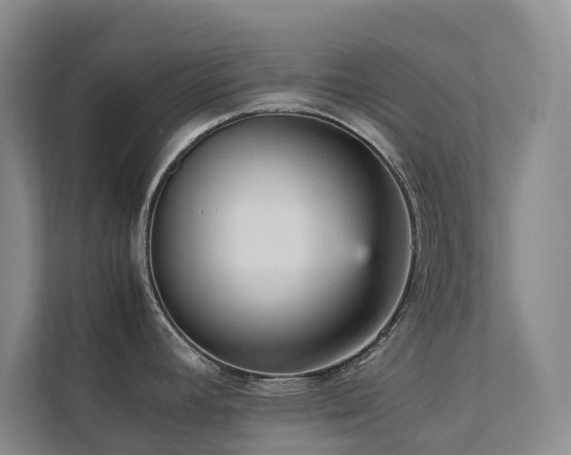 X0000111351392200907101200