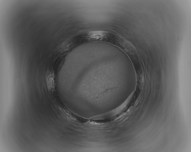 X0000111351394200907101200