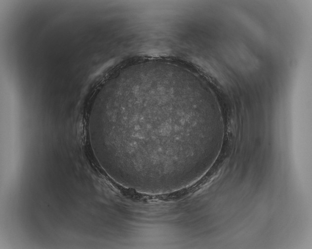 X0000111351398200907101200