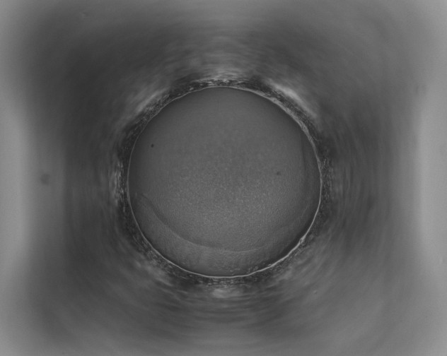X0000111351399200907101200