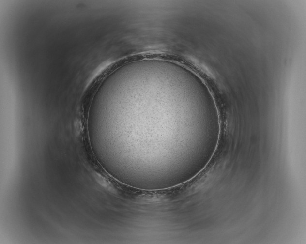X0000111351400200907101200