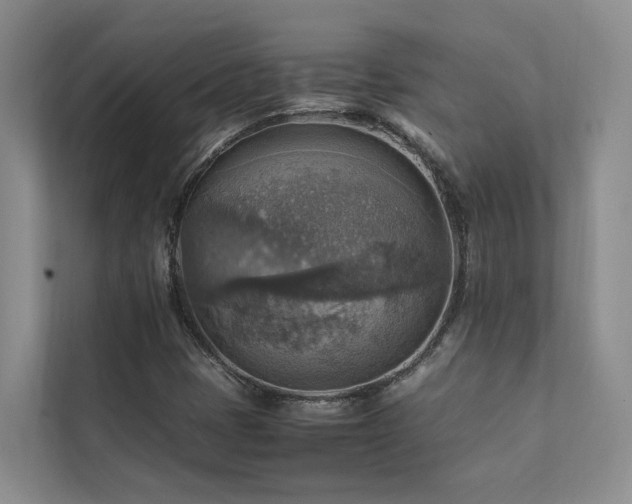 X0000111351401200907101200