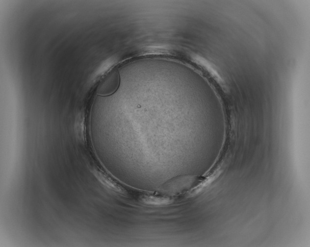 X0000111351403200907101200