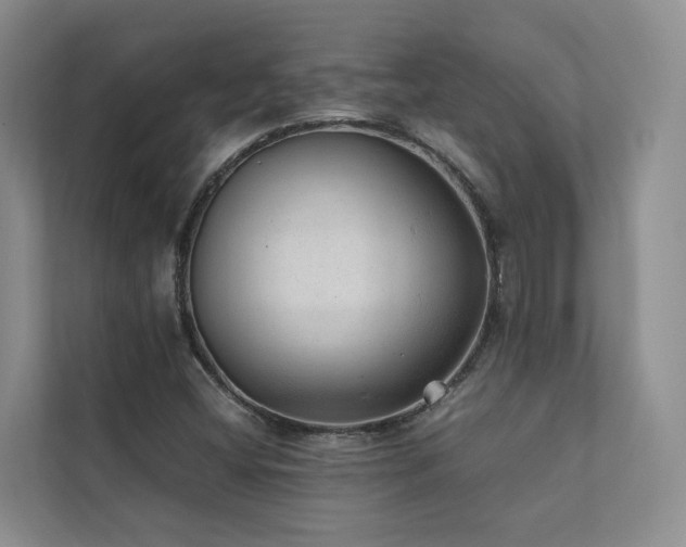 X0000111351404200907101200
