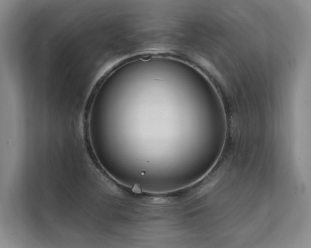 X0000111351412200907101200