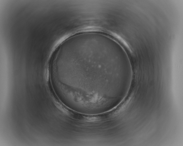 X0000111351413200907101200