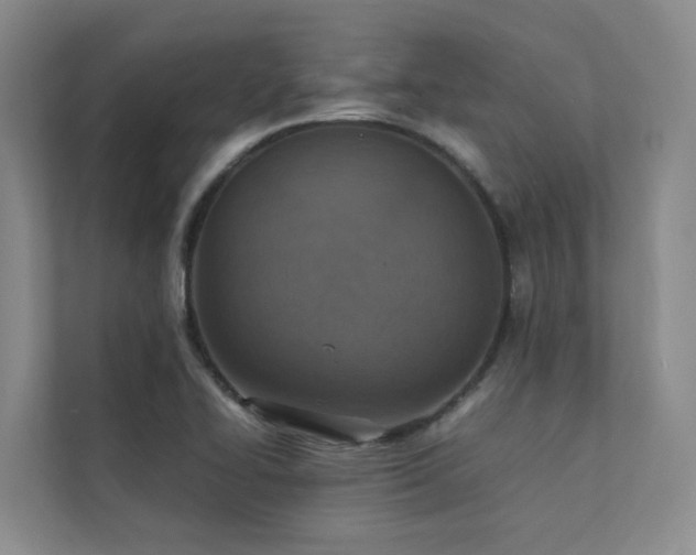X0000111351414200907101200
