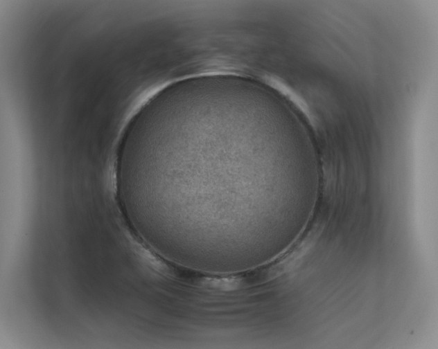 X0000111351415200907101200