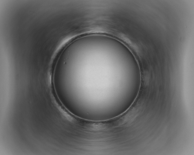 X0000111351416200907101200