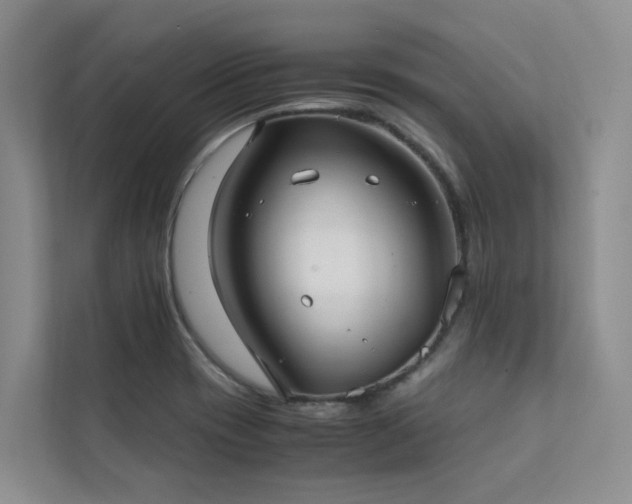 X0000111351417200907101200