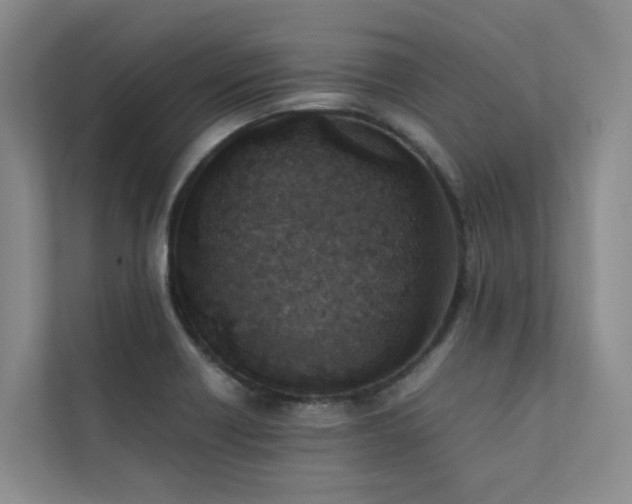 X0000111351418200907101200
