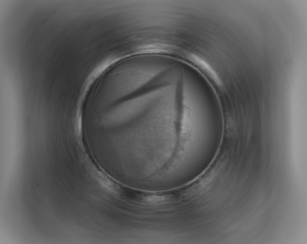 X0000111351419200907101200