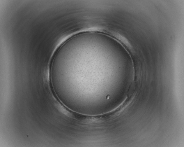 X0000111351420200907101200