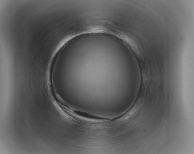 X0000111351422200907101200