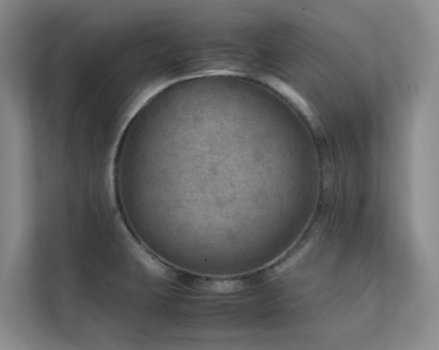 X0000111351423200907101200