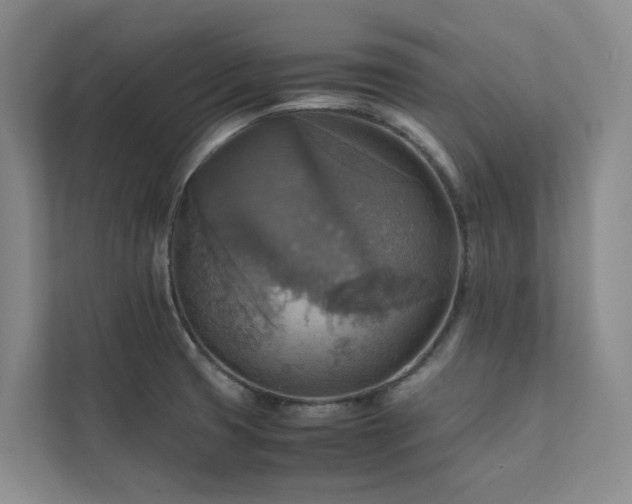 X0000111351425200907101200