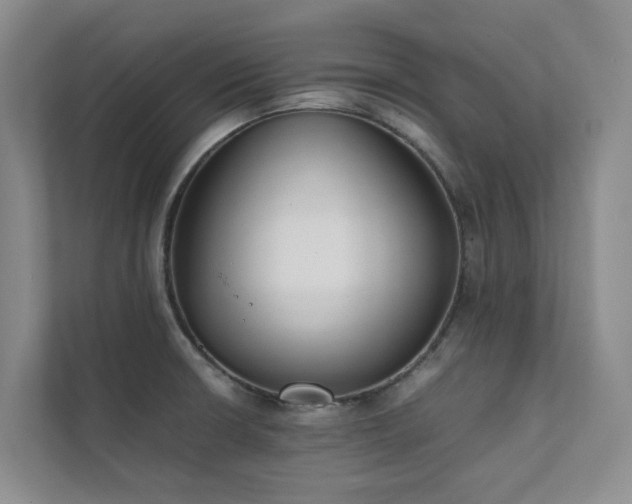 X0000111351426200907101200