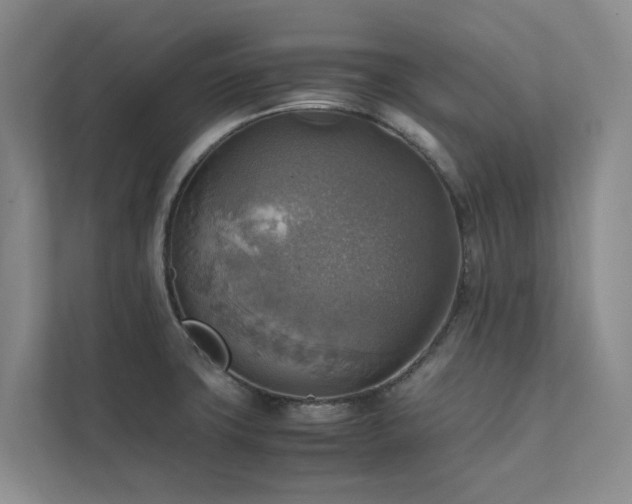 X0000111351427200907101200
