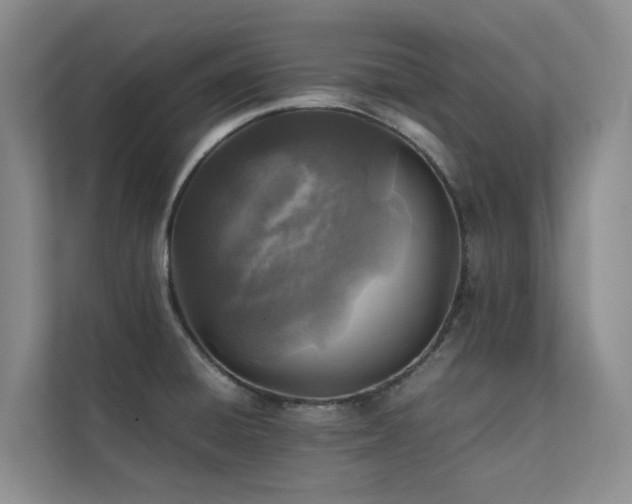 X0000111351428200907101200