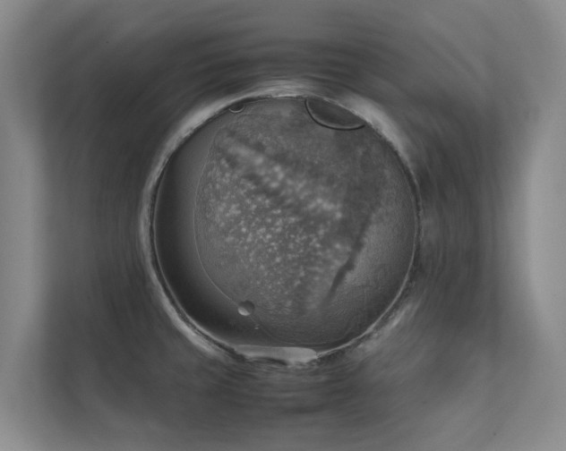X0000111351429200907101200