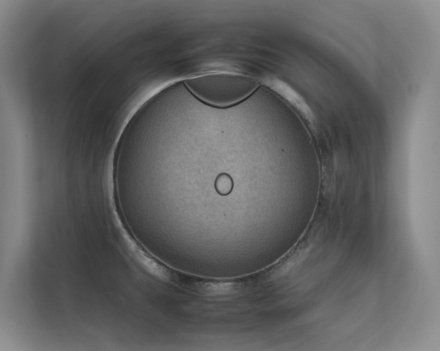 X0000111351431200907101200